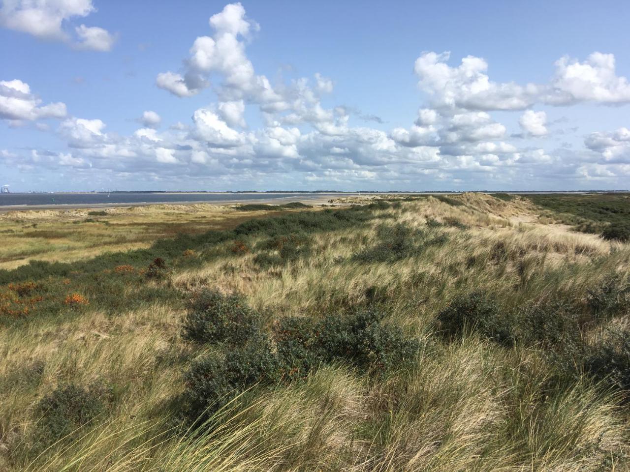 Gastenverblijf Oostdijk Goedereede Exterior foto